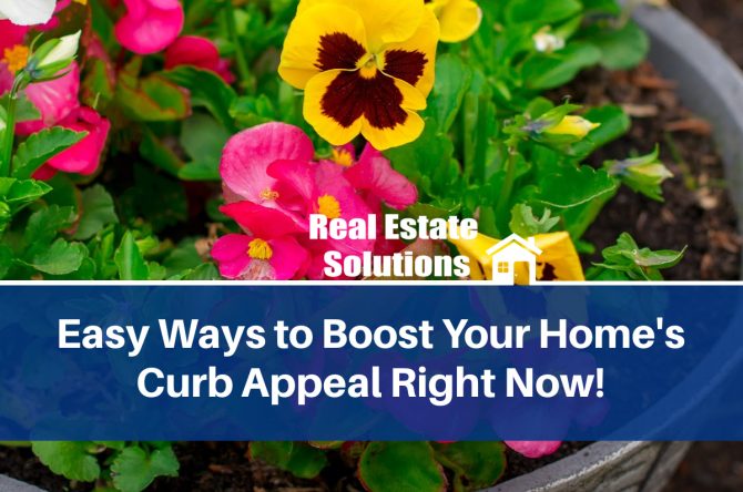 boost your curb appeal pansies on front stoop